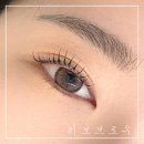 GS25 사직대로점 | 청주 사창동 속눈썹펌 :: 리보브로우