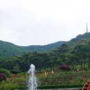 목상동 솔밭길 이미지
