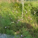 개울옆 펜션 이미지