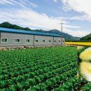 용암동아약국 이미지