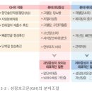 온코티앤티