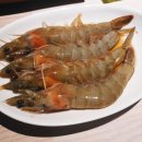 닷찌 이미지