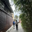 상촌시장 | 서촌투어 상촌 걷기, 구)금천교시장 : 세종음식문화거리