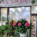 우노꼬레