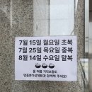 명품본가삼계탕 | 수원 매탄동 맛집 : 명품본가삼계탕으로 몸보신