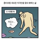아무래도 올해는 삼재가 맏따
