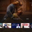 (주)스카이라이프티브이 이미지