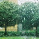 에스비에스 이미지