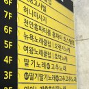 호박노래클럽 - 청양군 중앙로9길 5 | 호박노래클럽