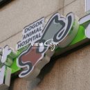 기계동물병원 이미지