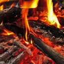 기사문항 화장실 이미지