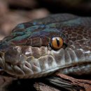 바나나마트 이미지