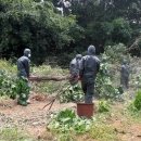 광천초교 이미지