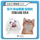 남부여 보호소 동물병원 | 유기·유실동물 입양비 지원사업 안내