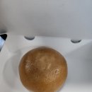 정동진분점 이미지
