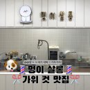 멍이살롱 이미지