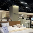 퍼스트시티경도약국 | 신혼침대 혼수침대 추천 N32 신세계 센텀시티점 모션베드와 비건매트리스