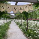 대구근교 거창 당일여행, 삼성여행사와 함께 Y자형출렁다리·전통시장·창포원 알차게 즐기기