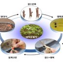 유경