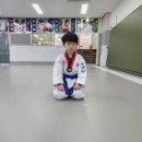 둥글이태권도 네이버블로그