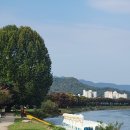 영신자전거 이미지