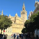 세비야 | 스페인 세비야 대성당 히랄다탑 방문 후기 :: 세비야 여행 필수 코스 관람 포인트 추천