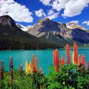 꽃이있는풍경 이미지