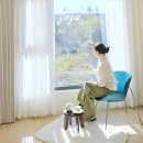 (주)웰리스온 | 제주공항 근처 제주시 가성비 숙소 제주 호텔 조식 신성의숲