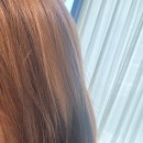 주공헤어샵 | [장위동미용실 추천] 장위동미용실 '에이바헤어 장위동점' 하오니코 크리닉 받고 온 후기