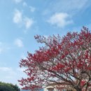 동내마을 이미지