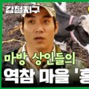 메이84
