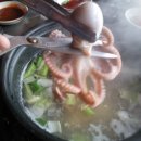 장수 쭈꾸미