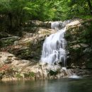 창원 길상사 법집별행록절요병입사기 | 운악산 현등사