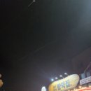 조천집 | 제주 동쪽가볼만 조천 술집추천 함덕포차 내돈내산후기 함덕집