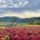 백학농장 | 경기도 연천군 농촌 한달살기 체험기,“수도권 끝, DMZ 옆 시골에서 한 달을 살아보니, 정착이 ‘숫자...