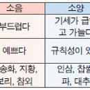 궐전제 티스토리