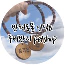 루비반지 PET SHOP 퇴계점 | [반려동물/인식표] 반려동물 인식표 :: 루비반지 PET SHOP 후기