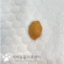 경주동물병원 이미지
