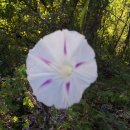 메이하우스 이미지