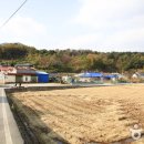 울진거일1리어촌체험마을