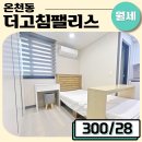 더고침펠리스 네이버블로그