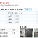 강서구-36 이미지