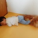 복덩이네 강아지 이미지