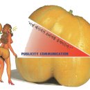 버드리PC 네이버블로그