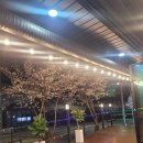 선단초등학교 | 경기도 포천시 99회관, 연락처, 가격, 후기