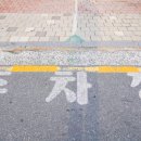 미가찜 밥상 네이버블로그
