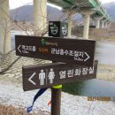 도신대교