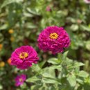 고흥만힐링체험센터 이미지