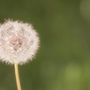 이편한디자인가구