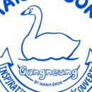 고니스튜디오 이미지